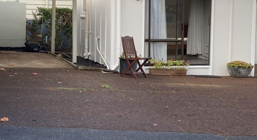  at 217B Mount Albert Road, Sandringham, Auckland City, Auckland