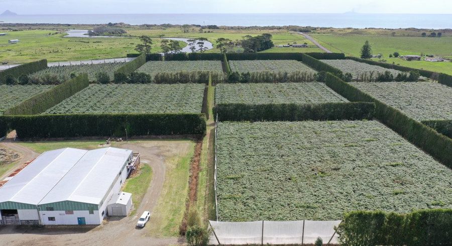  at 170 State Highway 35, Tirohanga, Opotiki, Bay Of Plenty