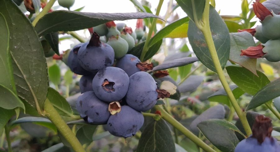  at 234 Willoughby Road, Katikati