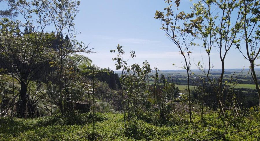  at 353 Pretoria Road, Shannon, Horowhenua, Manawatu / Whanganui