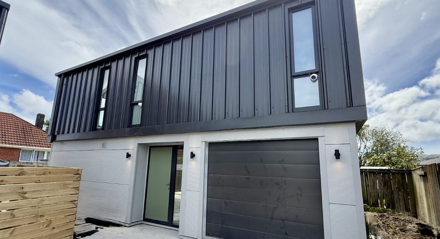  at 217 Oxford Terrace, Avalon, Lower Hutt, Wellington