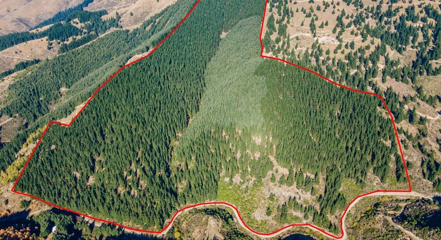  at 2381 Te Moana Road, Geraldine, Timaru, Canterbury