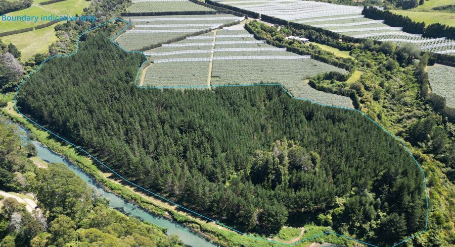  at 126B Casuarina Drive, Rangiuru