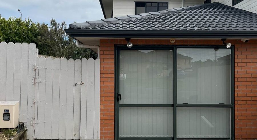 at 17 Raphoe Road, Flat Bush, Manukau City, Auckland
