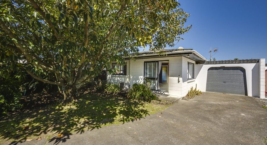  at 8 Thurley Place, Bay View, Napier, Hawke's Bay