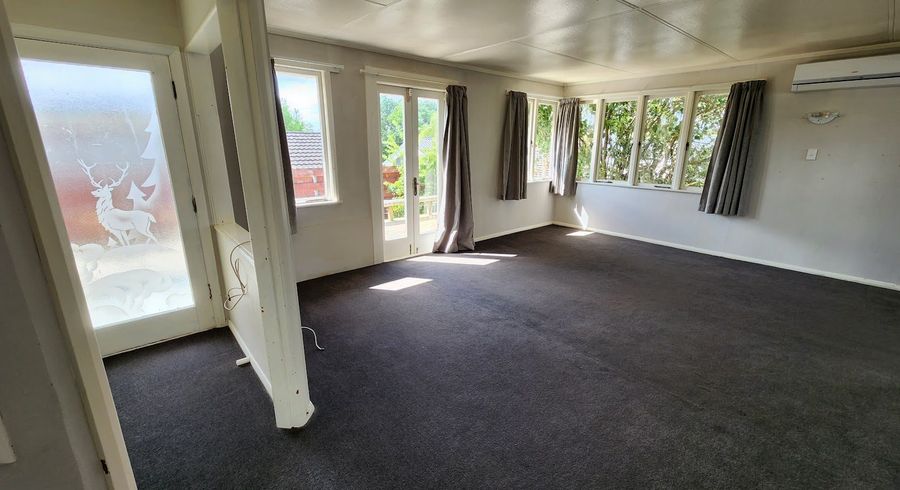  at 23 Gibson Road, Dinsdale, Hamilton