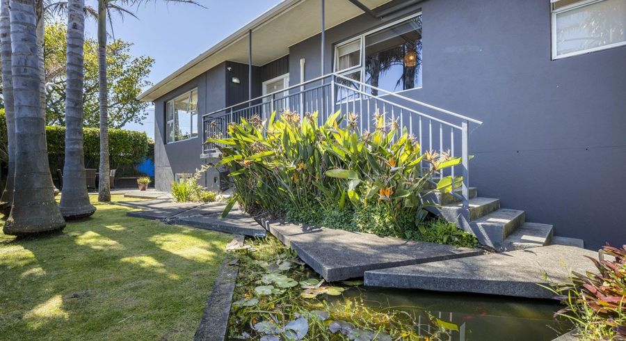  at 29 Barrett Street, Westown, New Plymouth, Taranaki