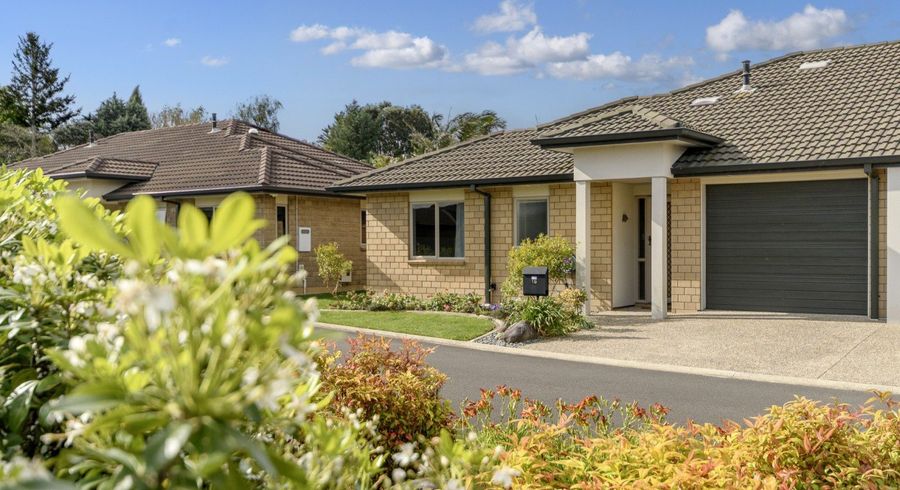  at 19 Havenbrook Way, Pyes Pa, Tauranga, Bay Of Plenty