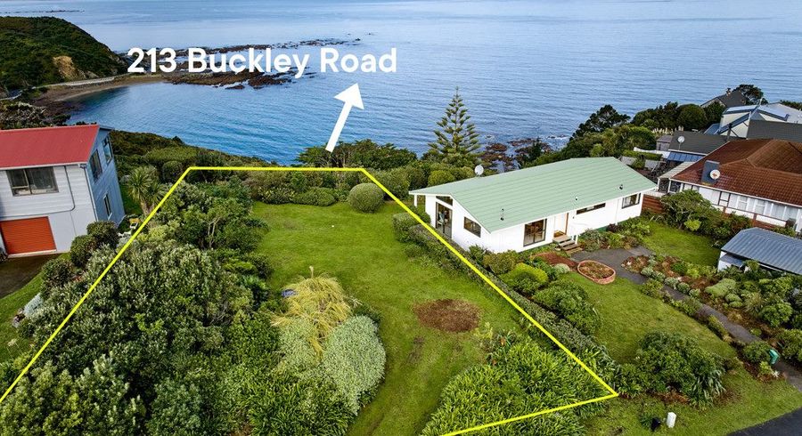  at 213 Buckley Road, Southgate, Wellington