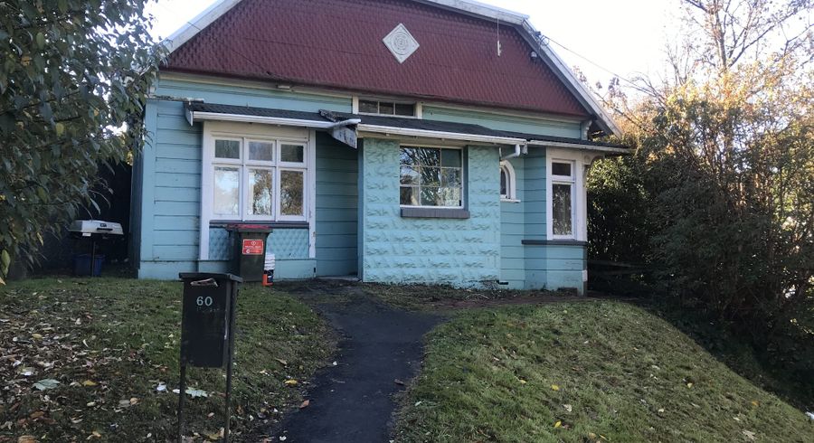  at 60 Bank Street, North East Valley, Dunedin