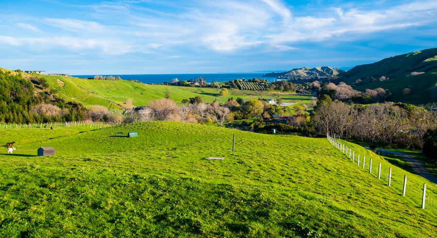  at 51 Scarlys Way, Okitu, Gisborne