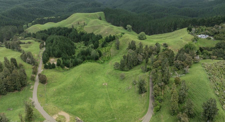  at 26 Settlement Road, Pikowai, Whakatane, Bay Of Plenty