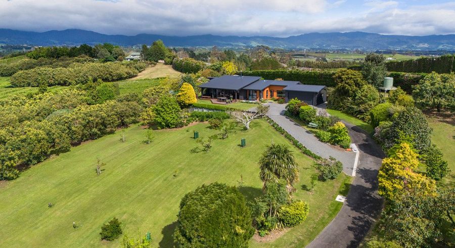 at 97 Morton Road, Aongatete, Western Bay Of Plenty, Bay Of Plenty