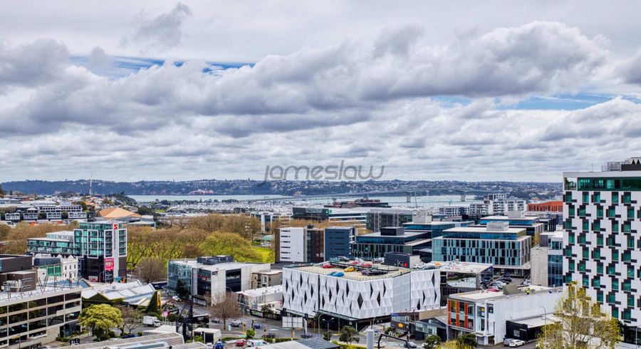  at 1006/72 Nelson Street, City Centre, Auckland City, Auckland