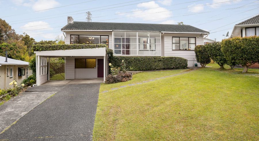  at 11 Robson Street, Mount Roskill, Auckland City, Auckland