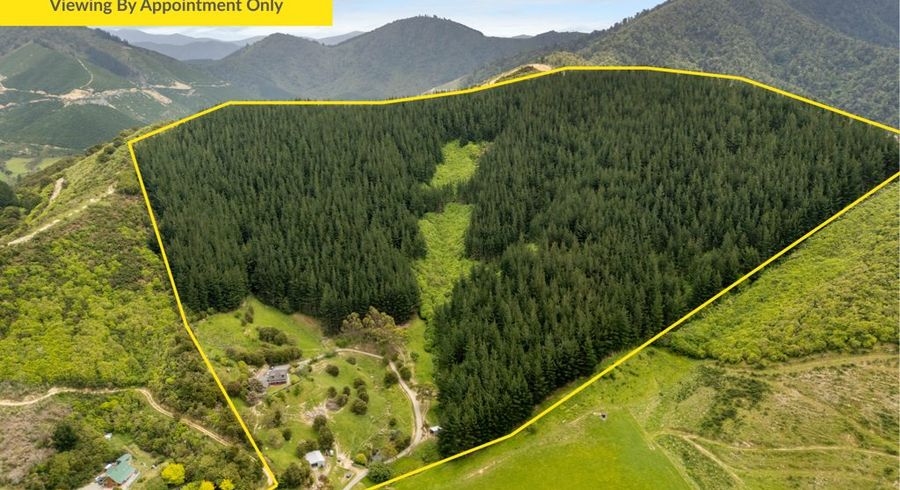  at 125 Kaiuma Bay Road, Havelock, Marlborough, Marlborough