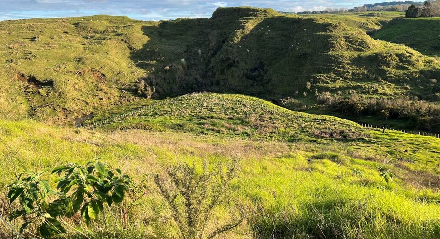  at 7263/7313 State Highway 1, Pakaraka, Far North, Northland