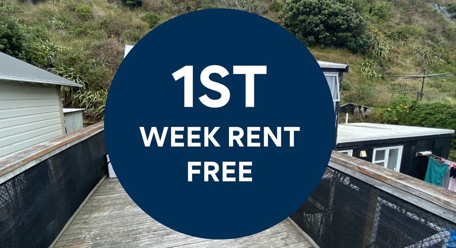  at 37 Moa Point Road, Moa Point, Wellington