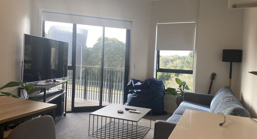  at 105/1B Oakley Avenue, Waterview, Auckland City, Auckland