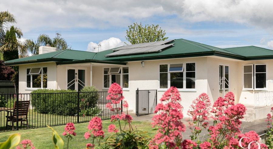  at 24 Mill Road, Clive, Hastings, Hawke's Bay