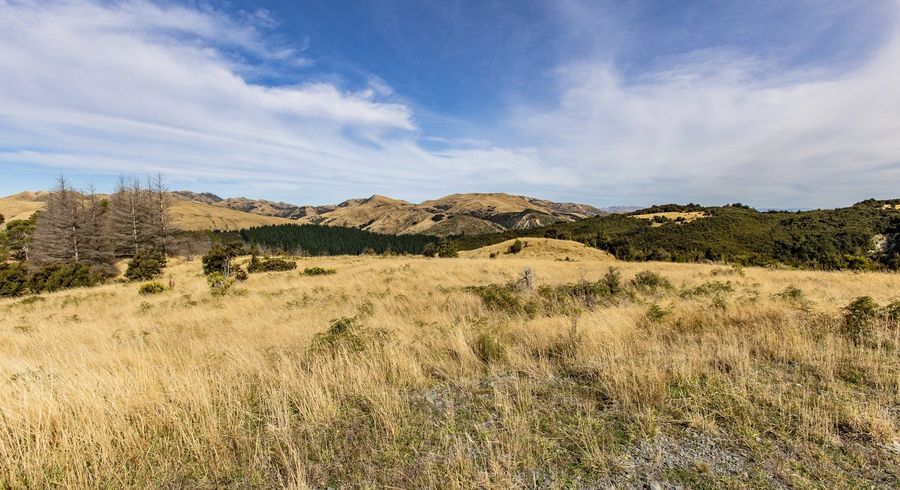  at 253 Mt Lyford Forest Drive, Waiau, Hurunui, Canterbury