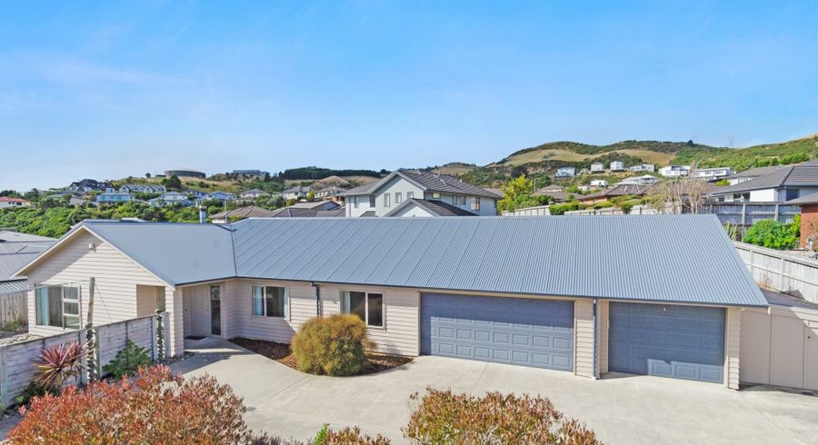  at 99 Bing Lucas Drive, Tawa, Wellington, Wellington