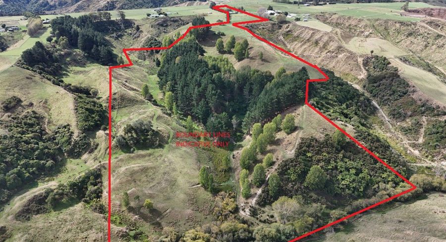  at 169 Campbell Road, Brunswick, Whanganui, Manawatu / Whanganui