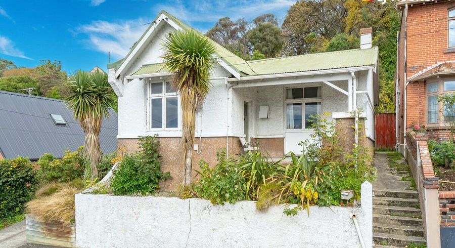  at 91 Maitland Street, Dunedin Central, Dunedin