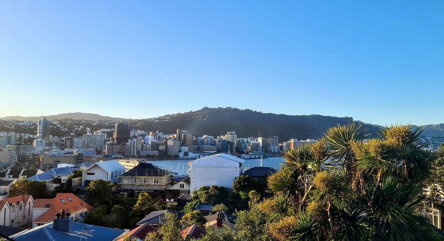  at 7 McIntyre Avenue, Mount Victoria, Wellington, Wellington
