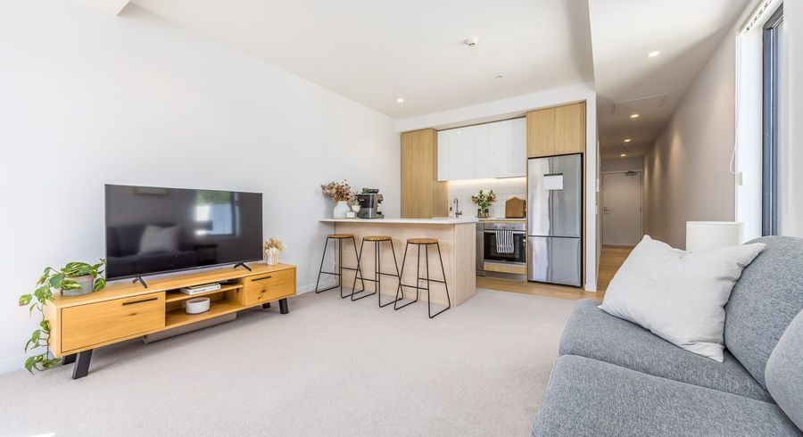  at 316/43 Edwin Street, Mount Eden, Auckland City, Auckland