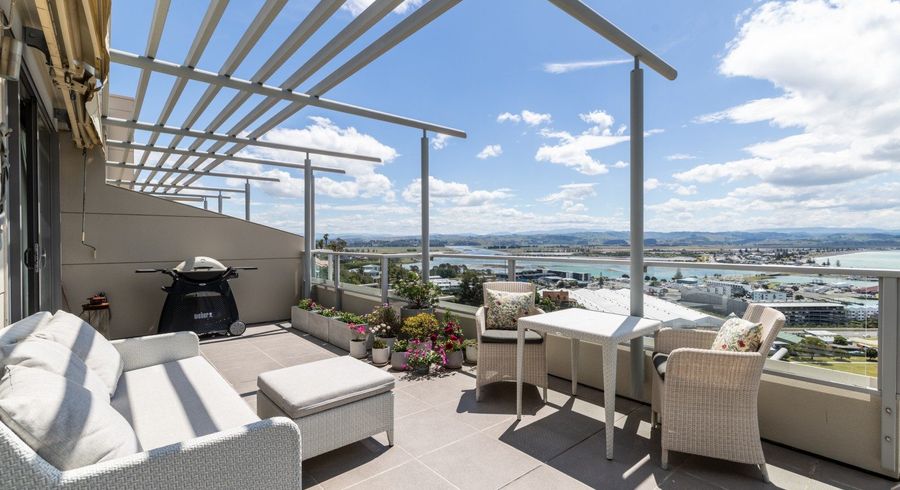  at 12/24 Hospital Terrace, Hospital Hill, Napier, Hawke's Bay