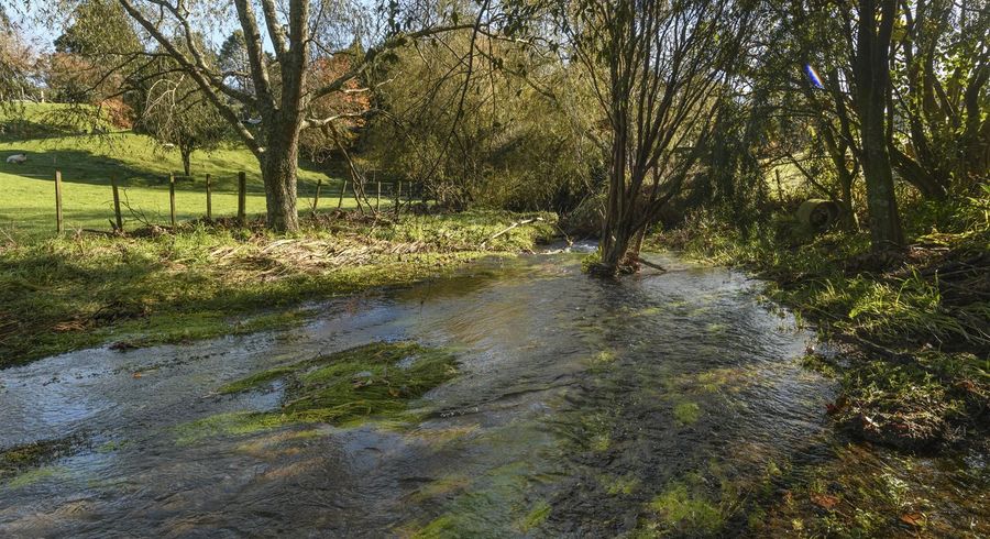  at 15 Leyland Road, Tauranga
