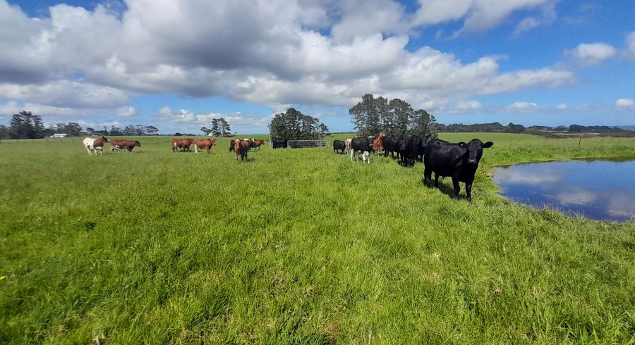  at Lot 1 Mangatete Heights, Kaingaroa, Far North, Northland