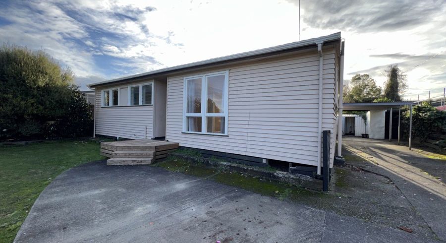  at 111 Limbrick Street, Terrace End, Palmerston North, Manawatu / Whanganui