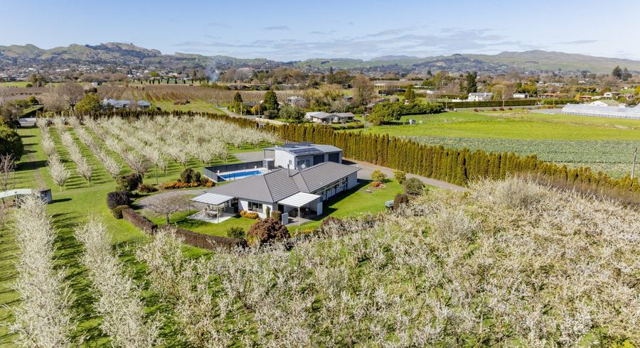  at 1280 Howard Street, Parkvale, Hastings, Hawke's Bay