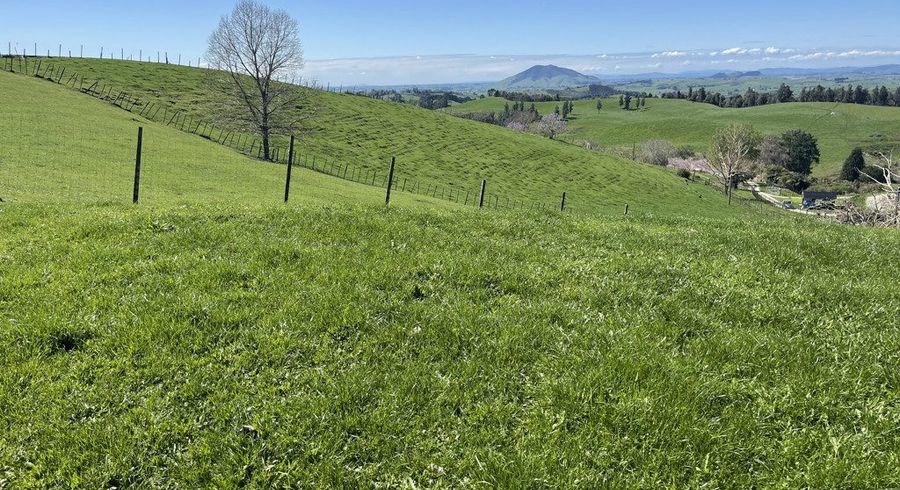  at 481 Honikiwi Road RD3, Otorohanga, Otorohanga, Waikato