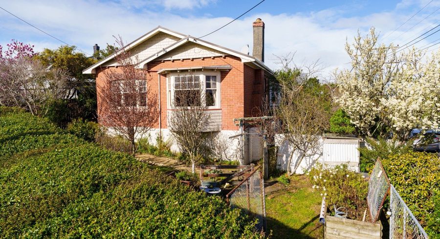  at 236 Pine Hill Road, Dalmore, Dunedin