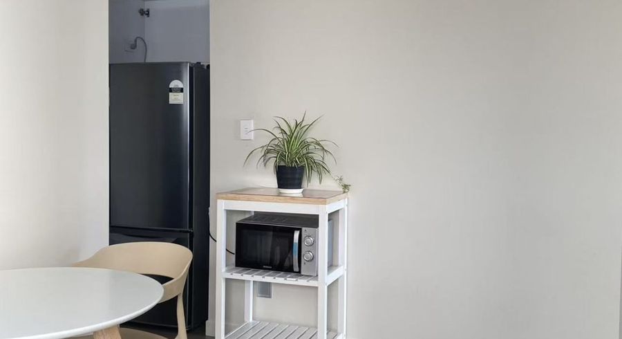  at 17 Black Shed Road, Flat Bush, Manukau City, Auckland