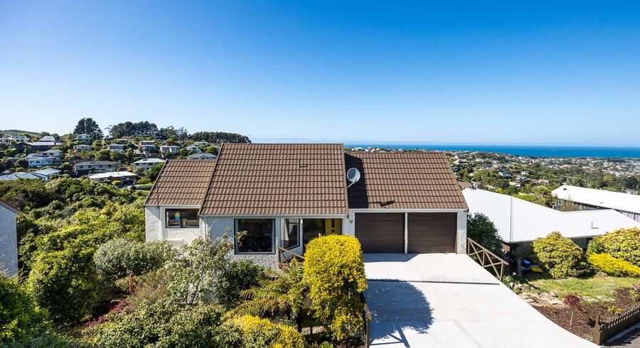  at 12 Moodie Street, Shiel Hill, Dunedin