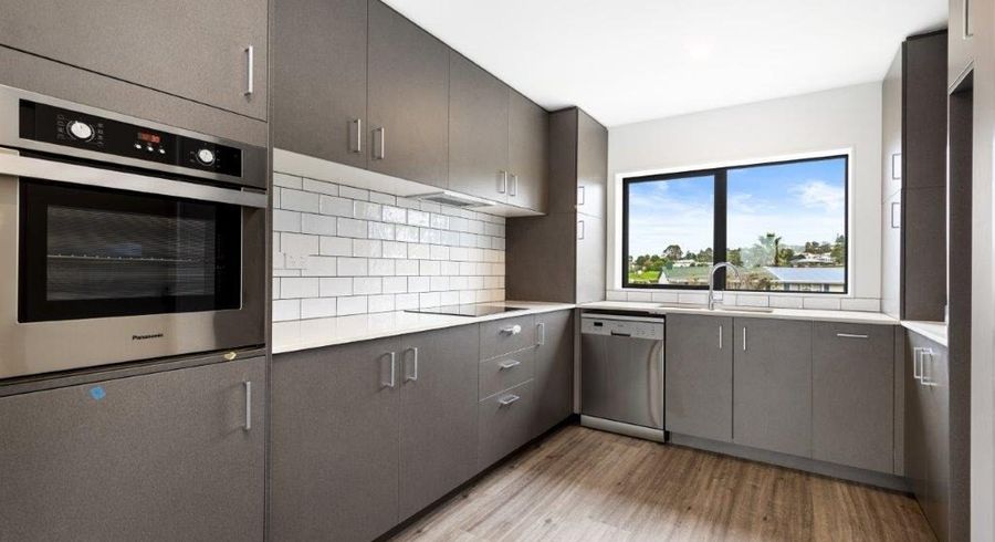  at 209 (E3-1)/2 Castledine Crescent, Glen Innes, Auckland City, Auckland