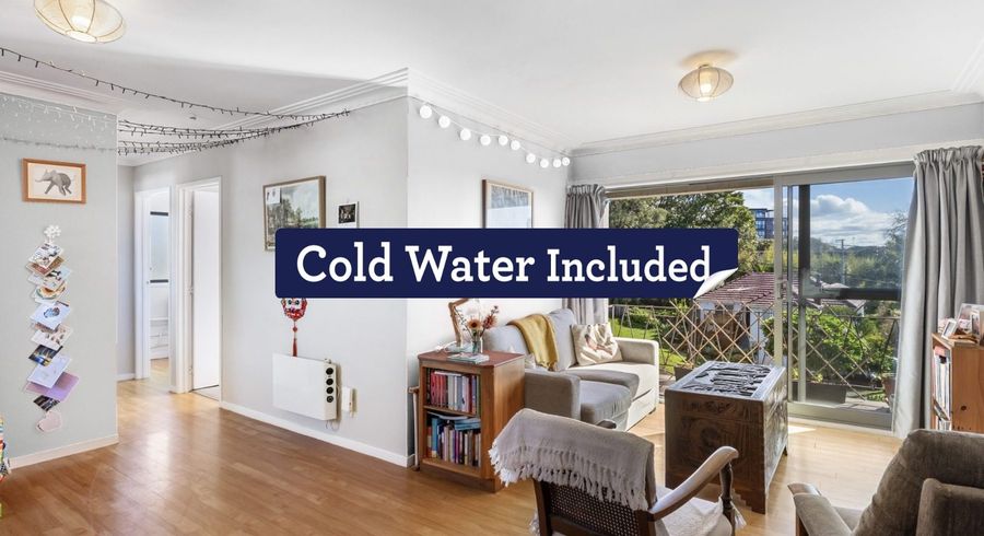  at 9/8 Western Springs Road, Western Springs, Auckland City, Auckland