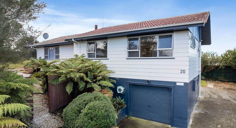  at 20  Newham Place, Henderson, Waitakere City, Auckland