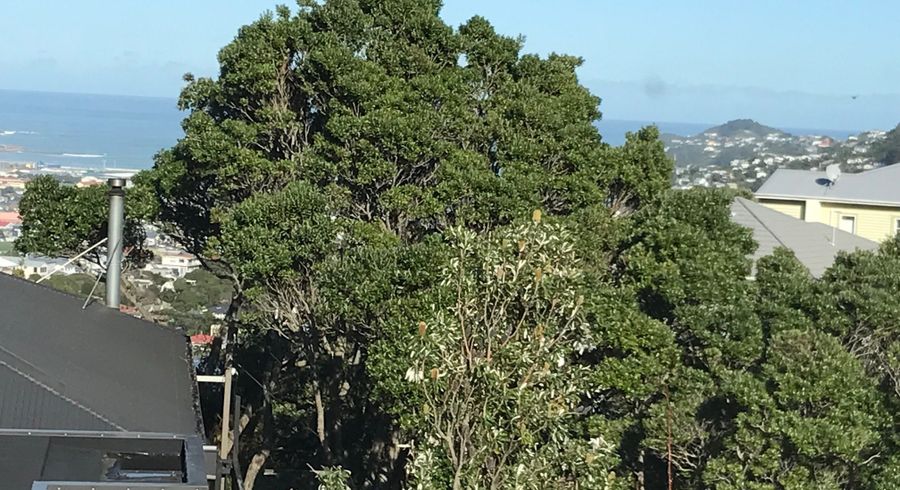  at 3B Upoko Road, Hataitai, Wellington, Wellington