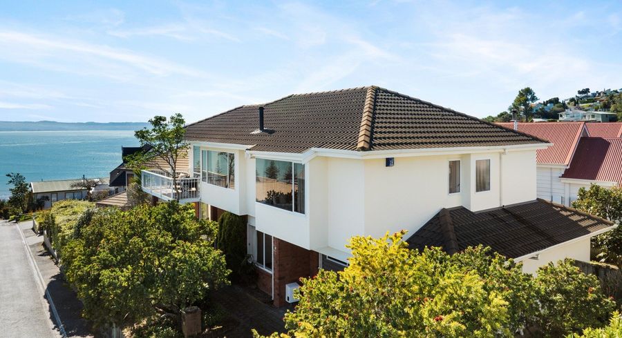  at 19 Roslyn Road, Bluff Hill, Napier