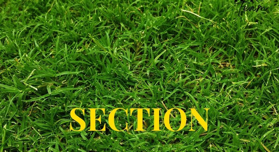  at 31 or 29 McMenamin Place, Fairview Heights, North Shore City, Auckland