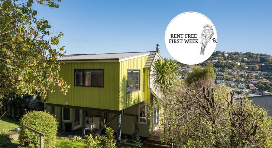  at 26 Konini Street, Nelson South, Nelson