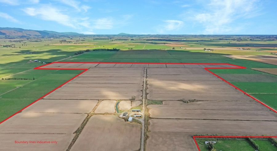  at 156-160 Campbell Road, Opiki, Horowhenua, Manawatu / Whanganui