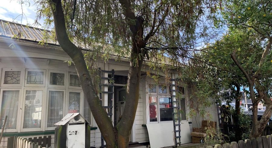  at 107 Frederick Street, North Dunedin, Dunedin