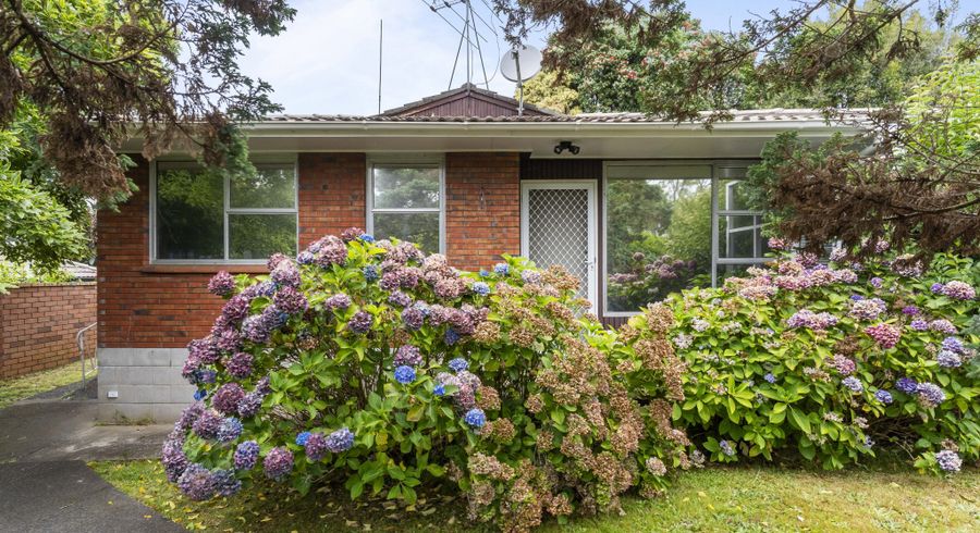  at 1/180 Green Lane West, Greenlane, Auckland