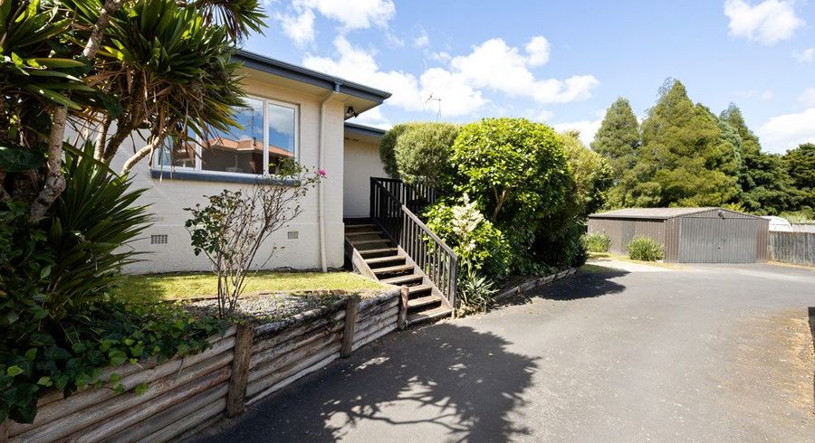  at 8 Alison Street, Hamilton Lake, Hamilton, Waikato